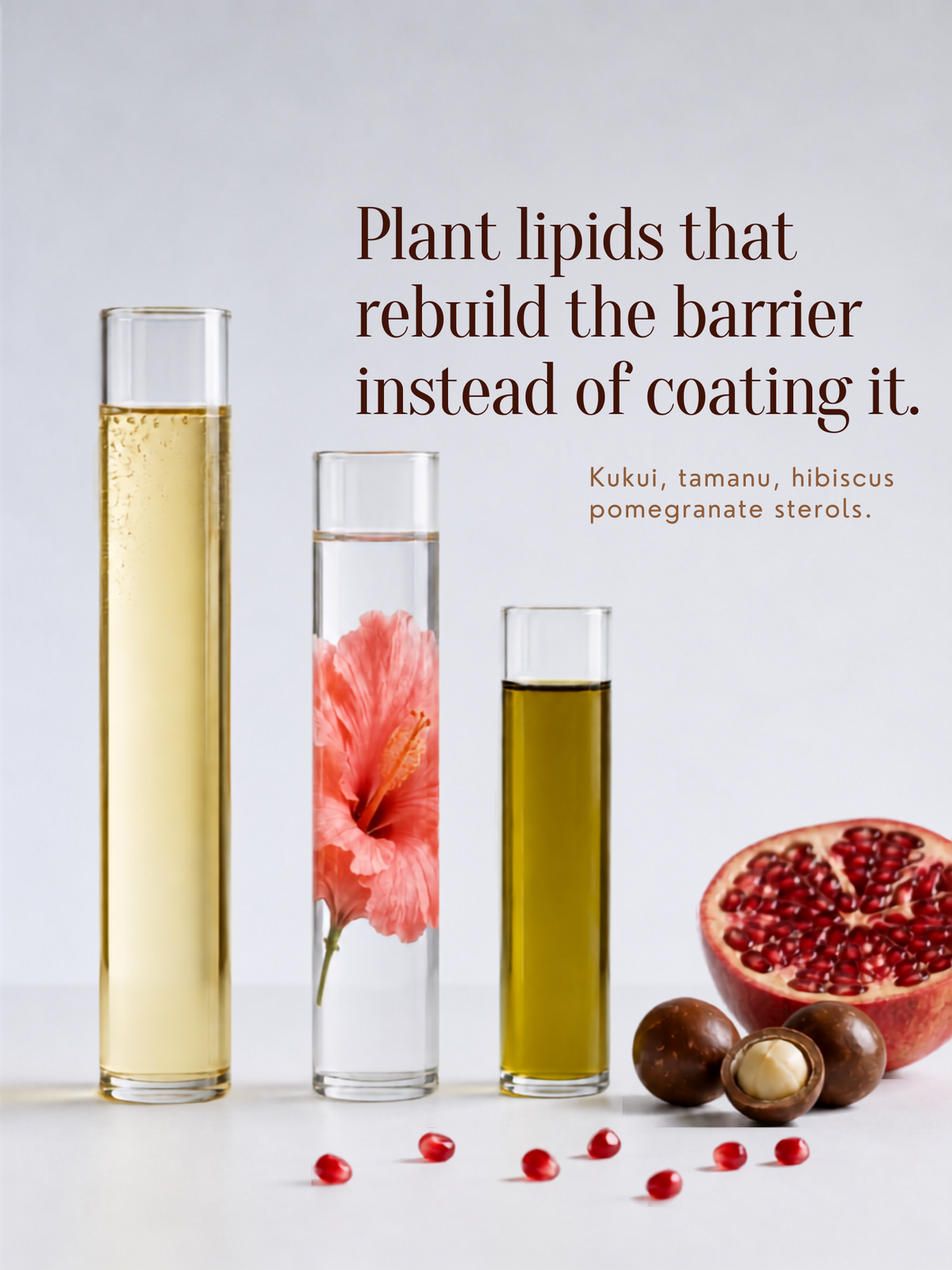 Barrier Moisturizer for Oily & Combo Skin
